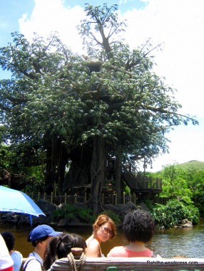 River cruise to Tarzan's Tree House.