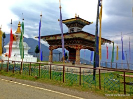 India to Bhutan (14)