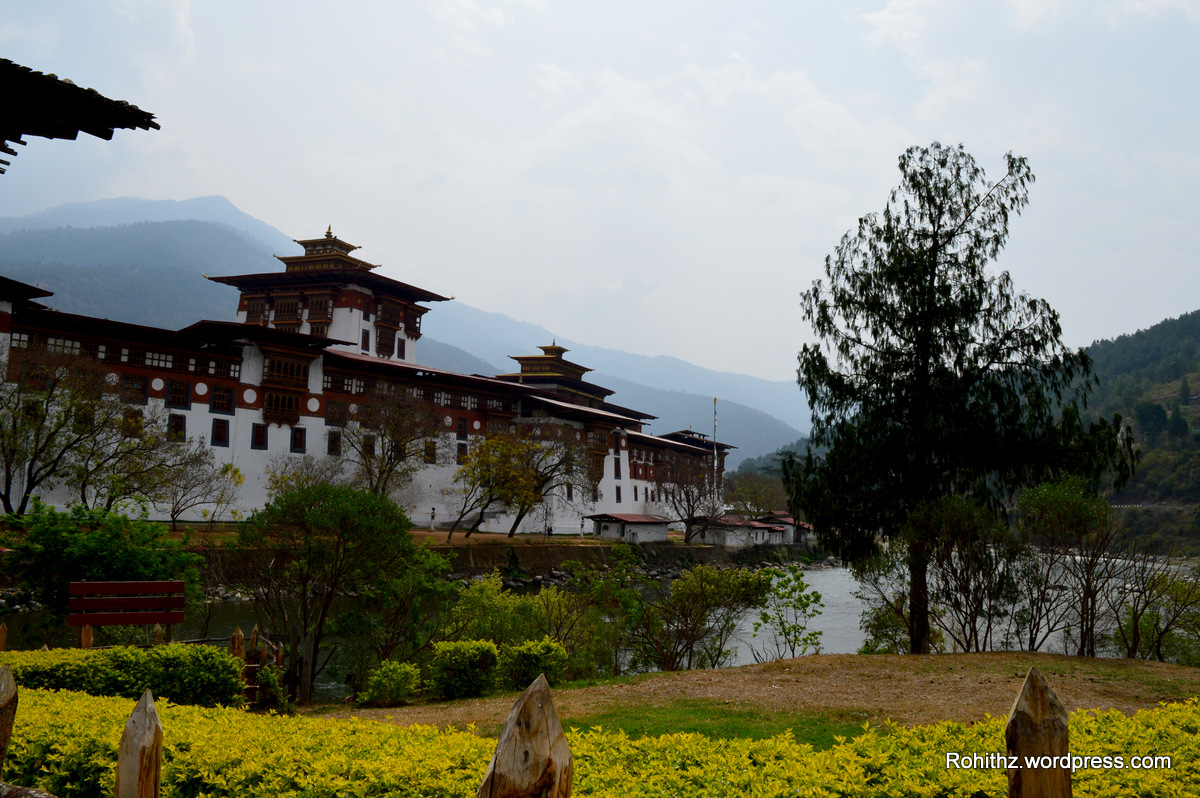 Punakha Dzong (18)