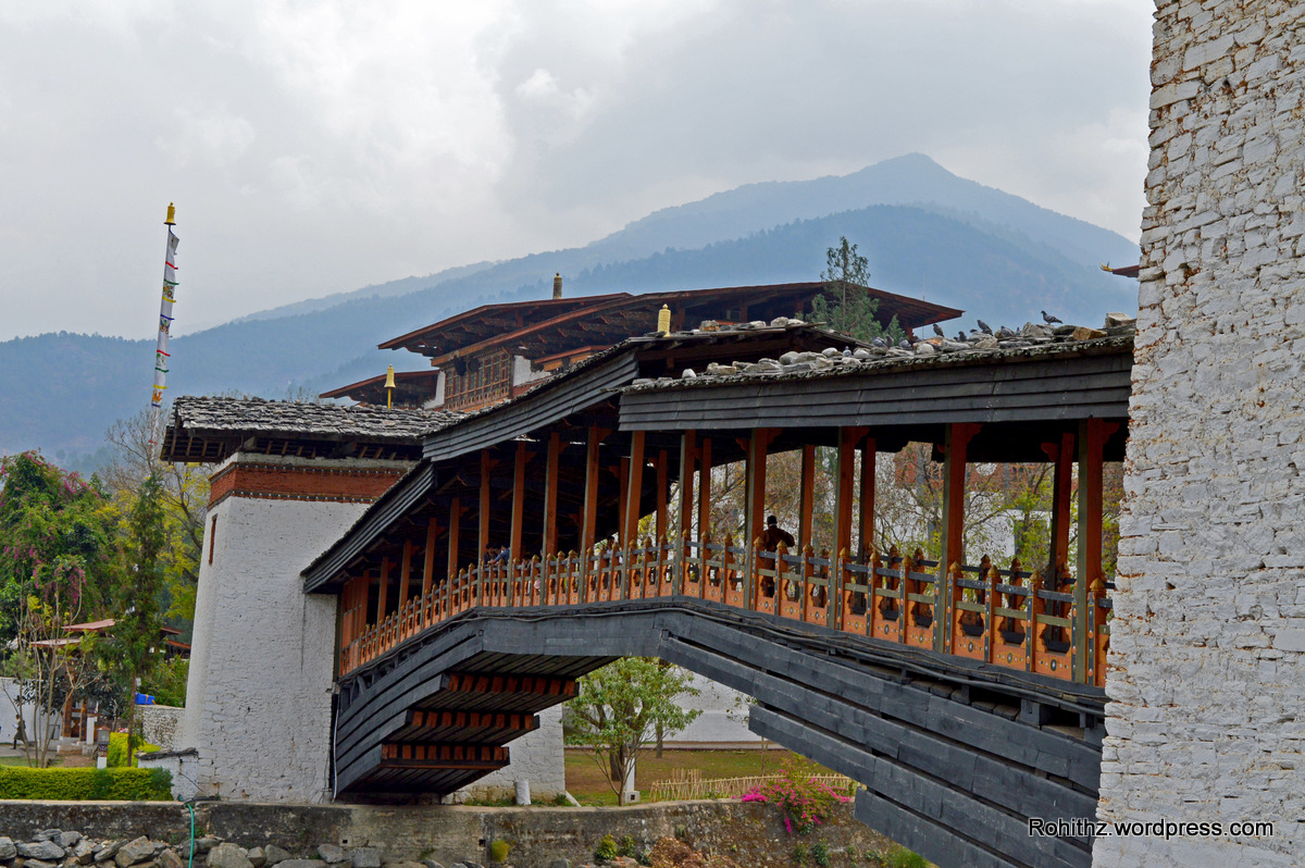 Punakha Dzong (5)