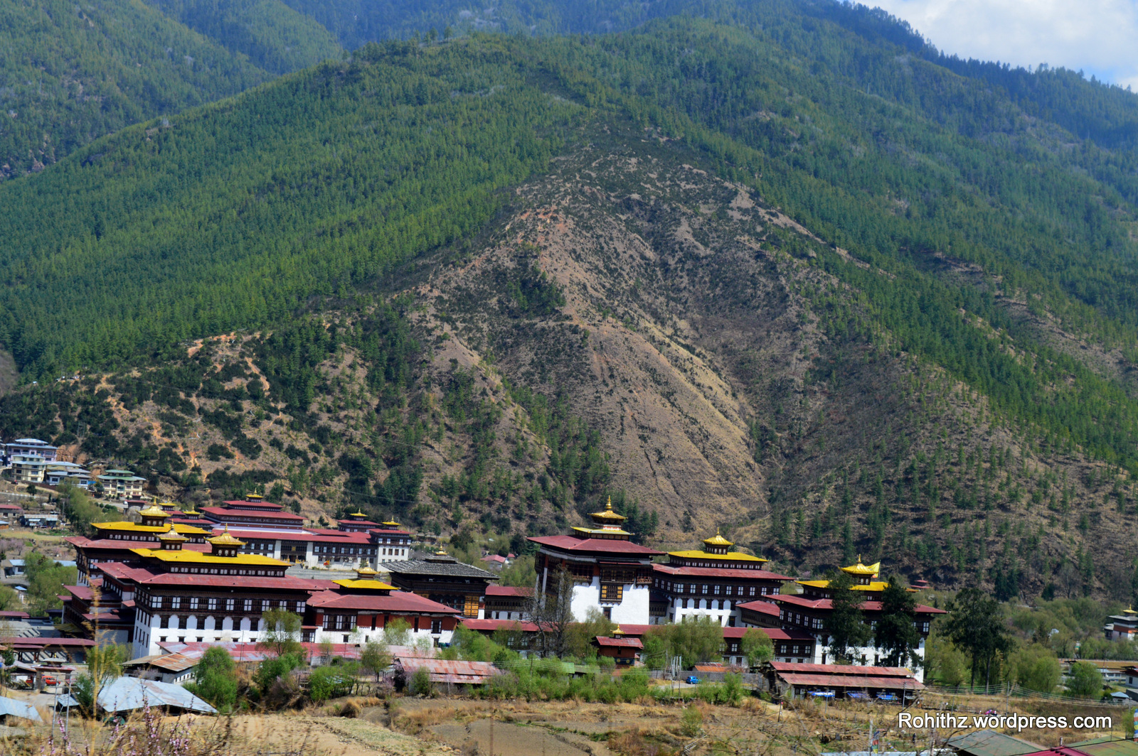 Thimphu city (3)