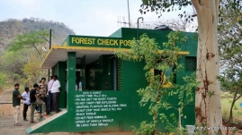 One has to pay fees for park entry ticket & cross this forest check point in order to get an access to the tiger reserve.