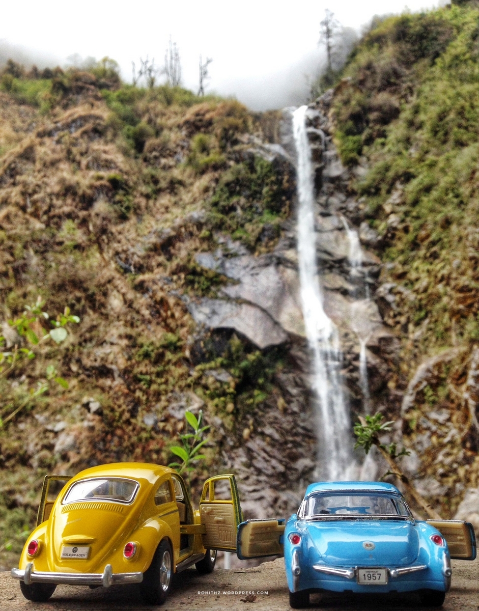 yellowie & vader feeling the waterfalls (1)