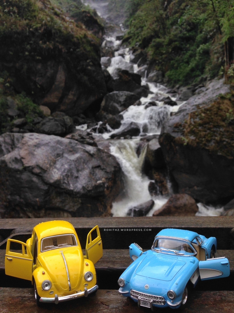 yellowie &amp; vader feeling the waterfalls (2)