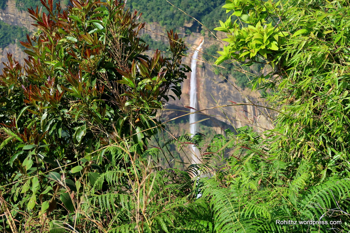 Nohkalikai waterfalls_Meghalaya (5)